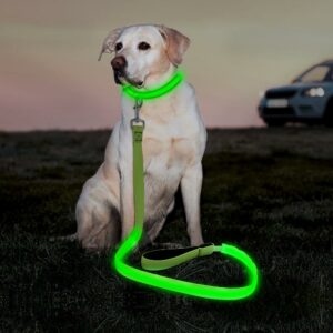 Best LED Dog Collar, Harness And Leash