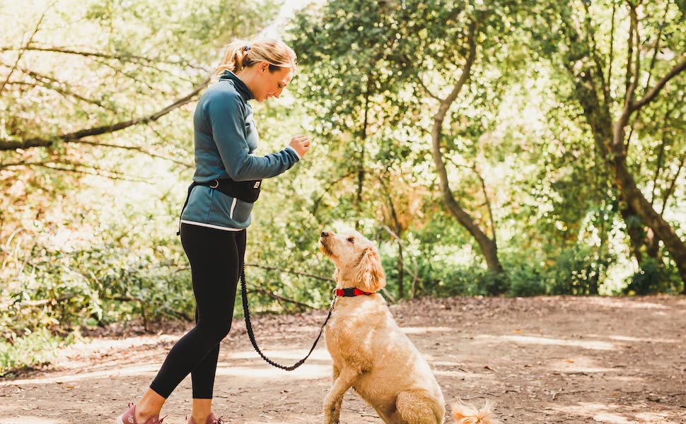  The Hands-Free Dog Leash: Pros and Cons